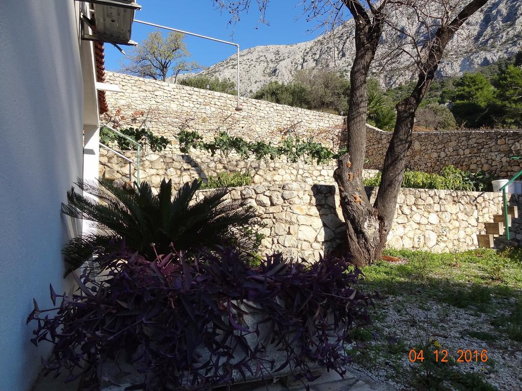 Holiday House Zorra Живогошче Экстерьер фото