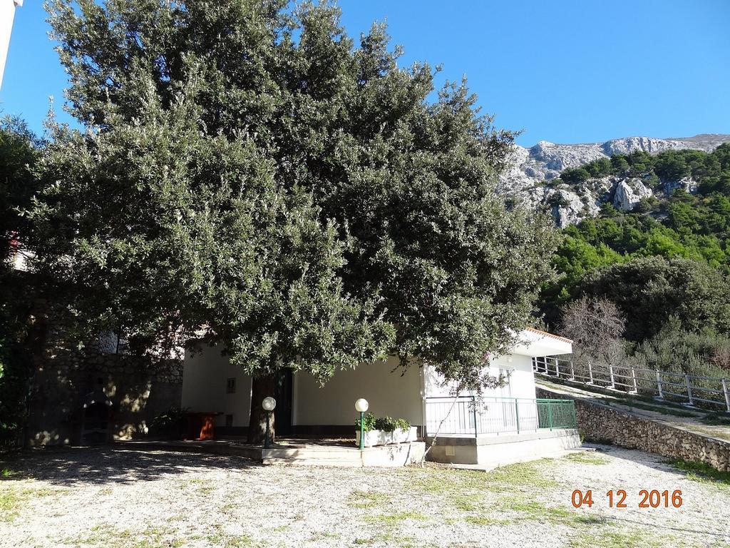 Holiday House Zorra Живогошче Экстерьер фото